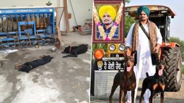 Sidhu Moose Wala Murder: Punjabi Singer’s Pet Dogs Heartbroken After His Death, Refuse To Eat Food