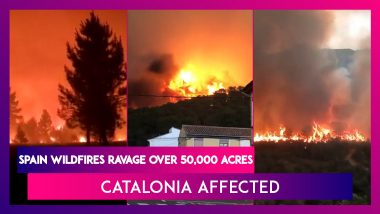 Spain Wildfires Ravage Over 50,000 Acres, Catalonia Affected