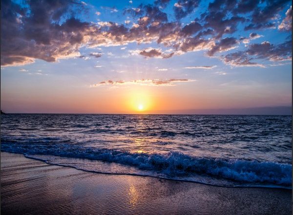Science News | Marine Predation Intensifies in Warmer Waters: Study