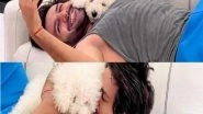 Entertainment News | WATCH: Kartik Aaryan Enjoys Company of His Furry Friends