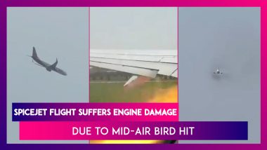 SpiceJet SG723 Flight Suffers Engine Damage Due To Mid-Air Bird Hit, Makes Emergency Landing In Patna