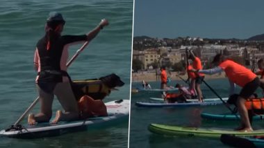 Dogs Ride on Paddleboards With Their Owners in Spain's Unique Paddle Surf Race; Watch Viral Video