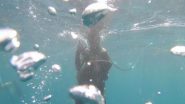 World News | Fish Jumps into Man's Mouth, Wiggling Down His Windpipe