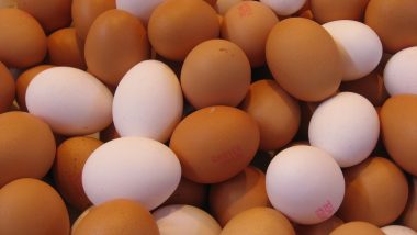 Mumbai Shocker: Commerce Student Duped of Rs 44,200 After He Orders 30,000 Eggs To Start Business