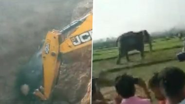 Jharkhand: Elephant Rescued With Help of Excavator Machine After It Falls Into a Ditch in Hulu Village (Watch Video)