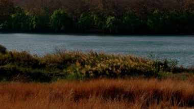 India News | Centre Releases Integrated Management Plan for Greater Panna Landscape