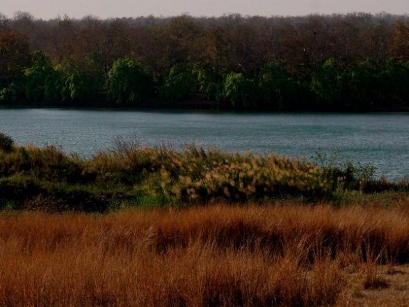 India News | Centre Releases Integrated Management Plan for Greater Panna Landscape - Vimarsana News