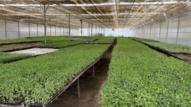 India News | Villagers in Assam's Golaghat District to Plant 1 Lakh Saplings on June 5