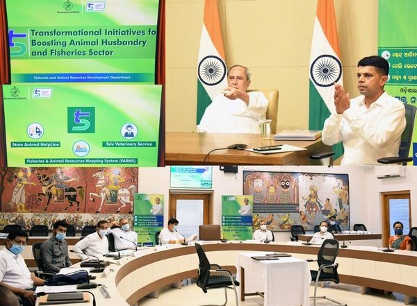 India News | Odisha CM Launches Helpline Number for Protection of Stray, Abandoned Animals