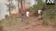 India News | Forest Fire Breaks out Near LoC in J-K's Poonch