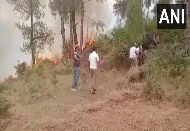 India News | Forest Fire Breaks out Near LoC in J-K's Poonch