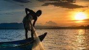 World News | After Pineapples, China Bans Grouper Fish to Restrict Taiwan's Access to Consumer Market