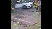 Chennai: 57-Year-Old Woman Killed, 2 Injured After Tree Falls on Moving Car in KK Nagar