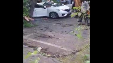 Chennai: 57-Year-Old Woman Killed, 2 Injured After Tree Falls on Moving Car in KK Nagar
