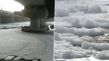 Delhi: Toxic Foam Floats on the Surface of Yamuna River in National Capital (Watch Video)