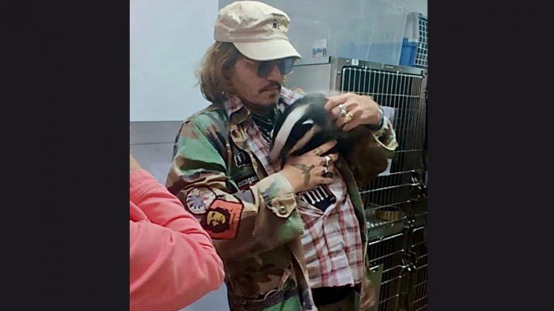 Johnny Depp Photographed Playing With A Badger At Wildlife Rescue Center After Winning Defamation Case Against Ex-Wife Amber Heard (View Pic)