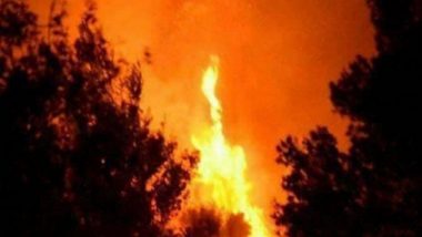 Afghanistan Forest Fire: Fire Raging for Over 10 Days in Nurgram District Not Contained Yet