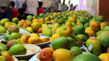 Mango Season in India: The Ripe Season for Gaurjeet Mangoes, a Hidden Secret of UP’s Gorakhpur-Basti Region