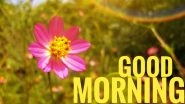 Good Morning Wishes, WhatsApp Stickers, Images, HD Wallpapers, GIFs, Text Messages and Positive Quotes To Stay Connected With Friends and Family