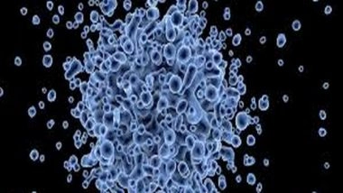 Health News | Study: Mushroom Extract Supports Clearing Human Papillomavirus (HPV) Infections