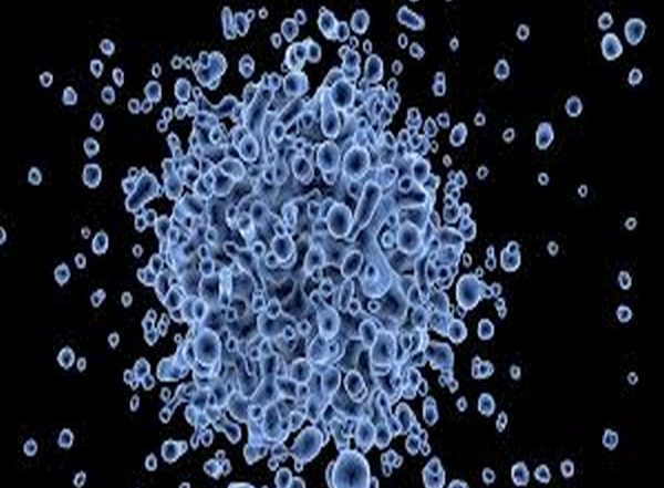 Health News | Study: Mushroom Extract Supports Clearing Human Papillomavirus (HPV) Infections