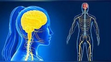 Health News | Study Finds Brain Differences in Pain Modulation in People with Self-injury Behaviour