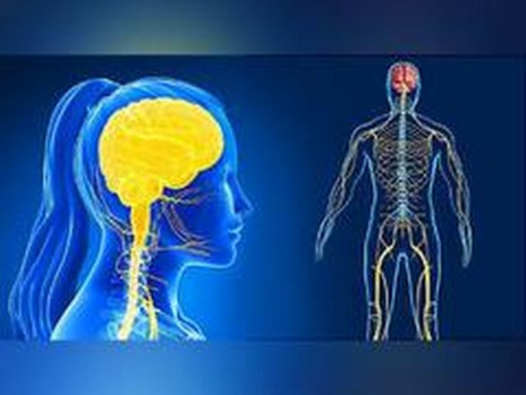 Health News | Study Finds Brain Differences in Pain Modulation in People with Self-injury Behaviour - Vimarsana News