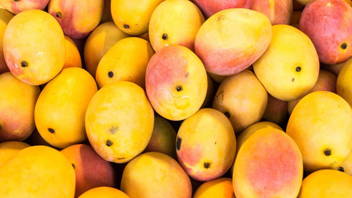 Mangoes and Their Names This Mango Season in India, Here's a Selection