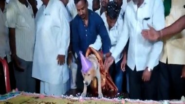 Krish Birthday: Shivappa Yellappa Maradi, Karnataka Man Throws Grand Party With 100 Kg Cake To Celebrate His Pet Dog’s Special Day in Belagavi