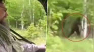 Bigfoot Found in Real Life? Men Claim To Spot Sasquatch, a Mysterious Hairy Creature Purportedly Running Through Tress in Viral Video