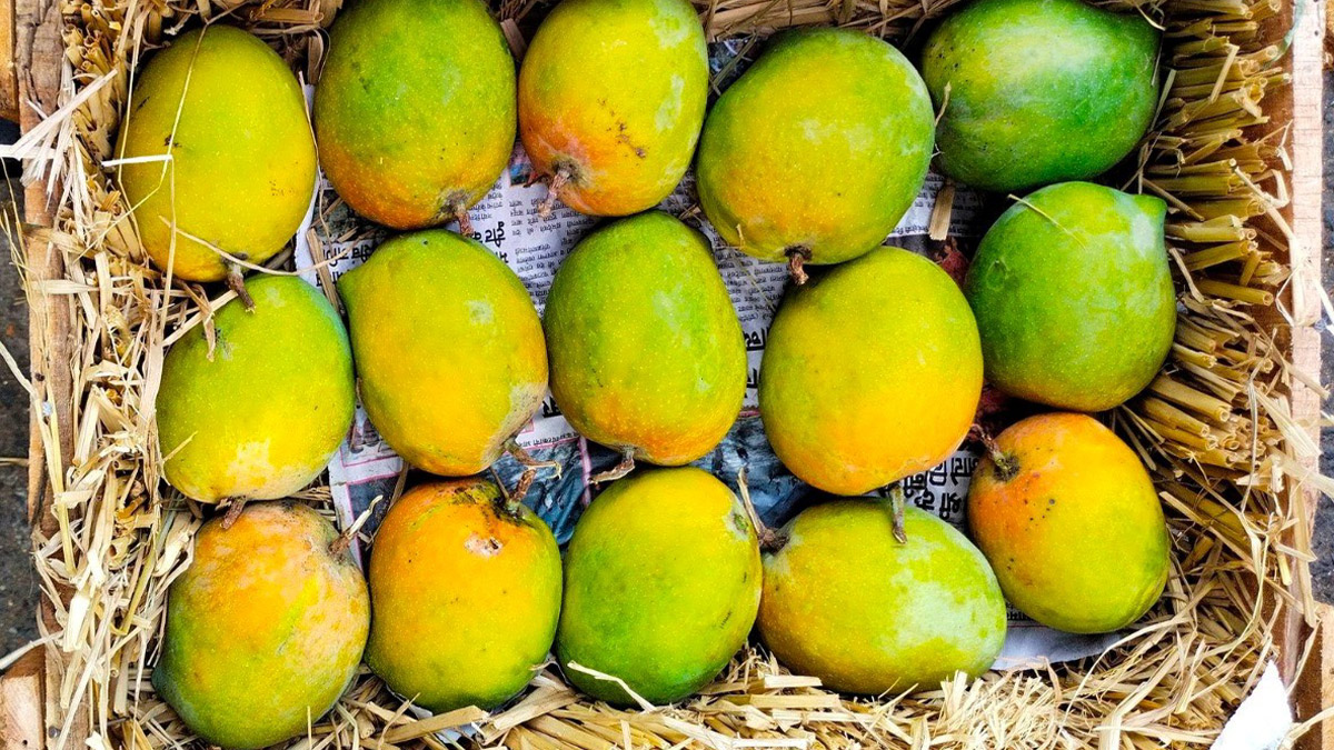 Mangoes and Their Names This Mango Season in India, Here's a Selection