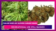 Thailand Passes Law Allowing Cannabis Farming, But Recreational Use Still Banned: What's Allowed, What's Not