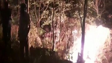 Chhattisgarh: Forest Department Officials Perform Last Rites of Tiger Found Dead in Guru Ghasidas National Park in Korea District