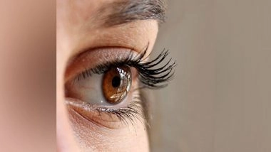Health News | Researchers Find Detailed Genetic Roadmap of Glaucoma