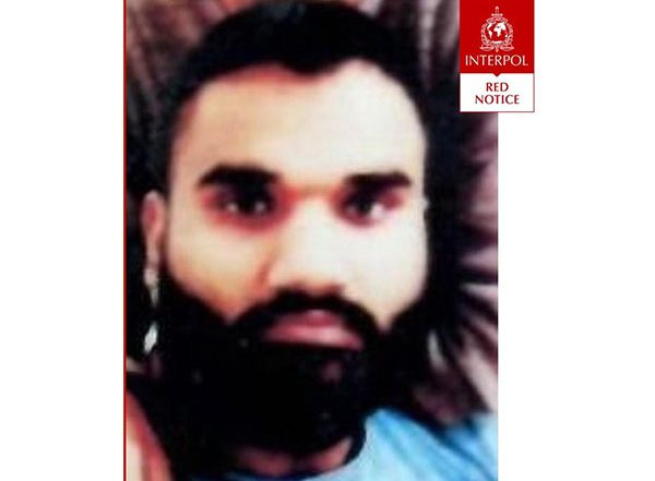 India News | Interpol Issues Red Corner Notice Against Gangster Goldy Brar