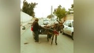 World News | Pak Government Employee Seeks Donkey Cart After Massive Fuel Price Hike