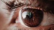 Science News | Research Finds Neuroscientists Discovered New Factors That Contribute to Enhanced Vision