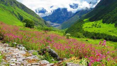 Valley of Flowers in Uttarakhand To Open For Tourists, Trekkers Can Explore The Rich Himalayan Flora and Fauna From June 1