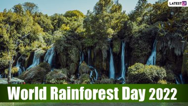 World Rainforest Day 2022: From Darien National Park To Yasuni National Park, 5 Incredible Rainforests To Visit