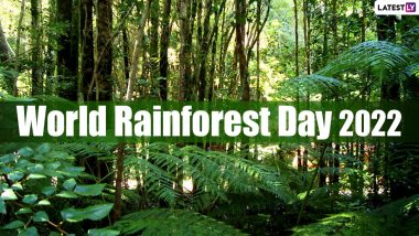World Rainforest Day 2022: Six Wondrous Ecosystems That You Must Know About on This Global Day!