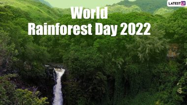 Why Is World Rainforest Day 2022 Celebrated? Know About the Significance of This International Day of Conservation (Watch Video)
