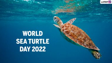 World Sea Turtle Day 2022 Date & Significance: Know History, Facts and Objective of The Global Day That Raises Awareness About the Plight of Marine Turtles