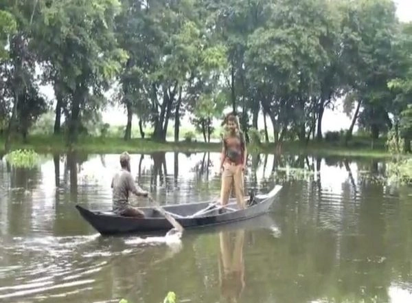 India News | Assam: 44 Anti-poaching Camps of Kaziranga National Park Inundated Due to Floods