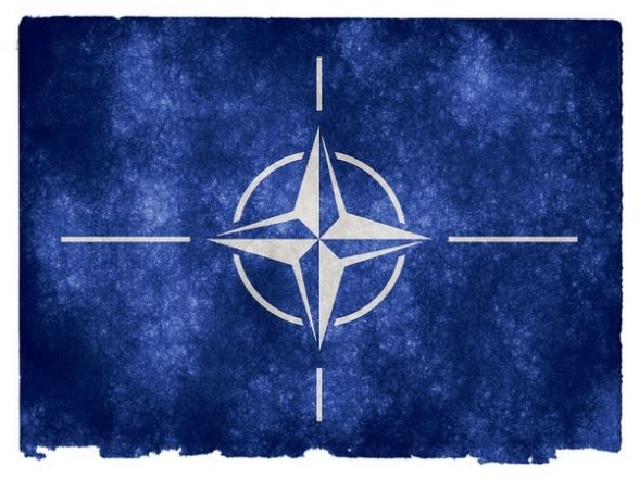 World News | Finland, Sweden Might Attend Madrid NATO Summit as 'invitees': US Ambassador - Vimarsana News