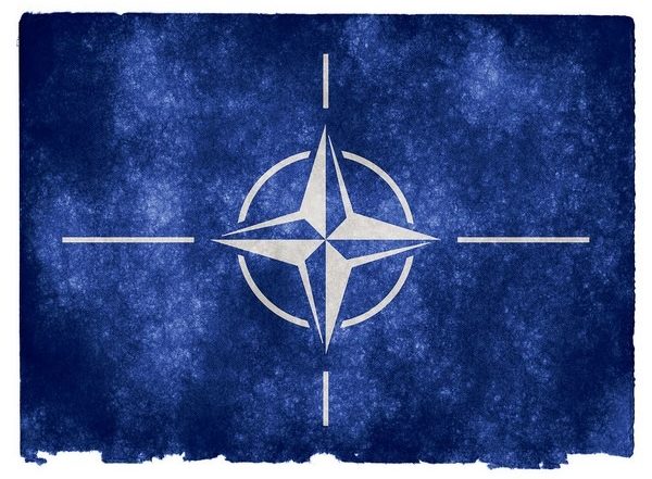 World News | Finland, Sweden Might Attend Madrid NATO Summit as 'invitees': US Ambassador