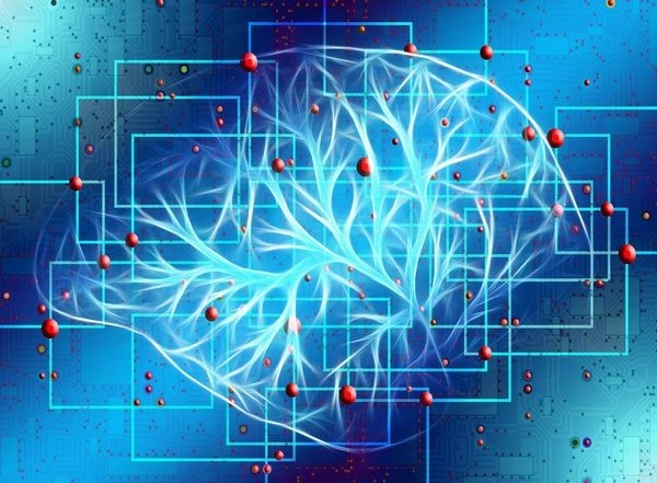 Health News | Study: UCI Neuroscientists Create Brain Maps After Traumatic Brain Injury