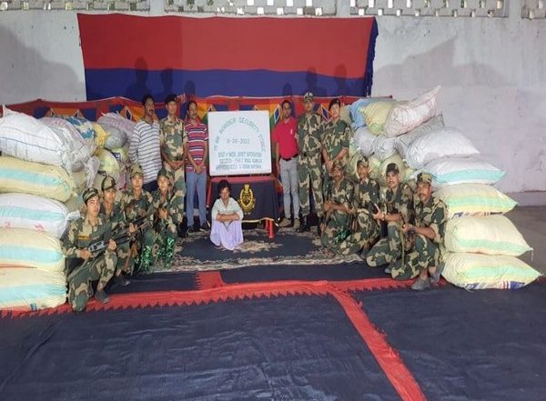 India News | WB: Over 1500 Kg of Ganja Seized in Cooch Behar, One Held