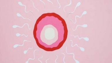 Health News | Maintaining Weight During Early Life Can Prevent Male Infertility: Study