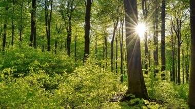 Science News | Not Everyone Wants to Become a 'billionaire', Good News for Planet: Study