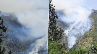 Himachal Pradesh Forest Fire: Massive Fire Breaks Out in Poabo Forest Area in Shimla